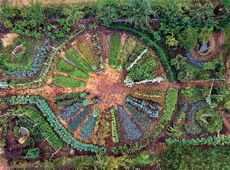  El Jardín Suspendido: Un Sueño Vegetal en la Península Sindh