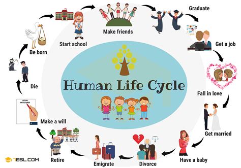  Karmawibhangga una representación detallada del ciclo de la vida y la muerte